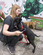 GINNY, Hund, Mischlingshund in Nauheim - Bild 5