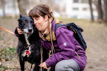 GUNNAR, Hund, Deutscher Schäferhund-Mix in Bulgarien - Bild 7