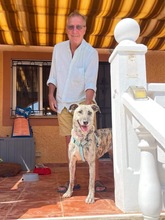 CARLY, Hund, Mischlingshund in Lohr - Bild 25