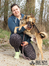 CHILLI, Hund, Mischlingshund in Slowakische Republik - Bild 14