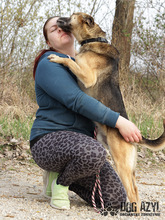 CHILLI, Hund, Mischlingshund in Slowakische Republik - Bild 15