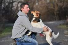 DEDE, Hund, Mischlingshund in Slowakische Republik - Bild 12