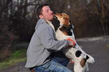 DEDE, Hund, Mischlingshund in Slowakische Republik - Bild 3