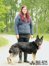 ZARA, Hund, Mischlingshund in Slowakische Republik - Bild 9