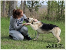 CALLIDORA, Hund, Mischlingshund in Slowakische Republik - Bild 27