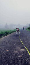 FREITAG, Hund, Mischlingshund in Gießen - Bild 4