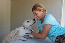 GEORGIA, Hund, Maremmano-Mix in Italien - Bild 27