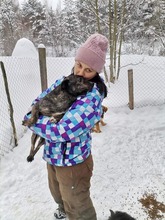 NERO, Hund, Mischlingshund in Rumänien