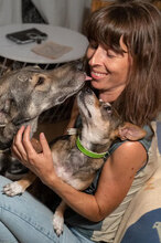 MANIK, Hund, Mischlingshund in Bulgarien - Bild 8