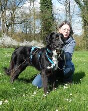 HERMIONE, Hund, Mischlingshund in Italien - Bild 11