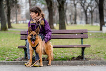 CORA, Hund, Deutscher Schäferhund in Bulgarien - Bild 10