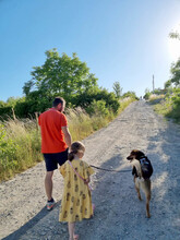 GUMMYBEAR, Hund, Mischlingshund in Rumänien - Bild 14