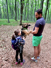 GUMMYBEAR, Hund, Mischlingshund in Rumänien - Bild 17