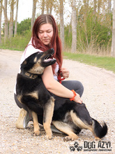 PERI, Hund, Mischlingshund in Slowakische Republik - Bild 16