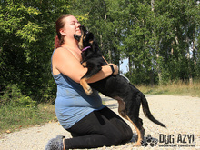 PERI, Hund, Mischlingshund in Slowakische Republik - Bild 28