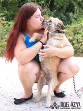 LIONARD, Hund, Mischlingshund in Slowakische Republik - Bild 13
