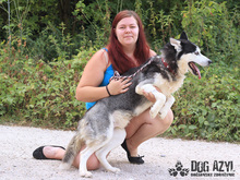 SHADOW, Hund, Mischlingshund in Slowakische Republik - Bild 11