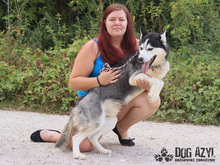SHADOW, Hund, Mischlingshund in Slowakische Republik - Bild 12