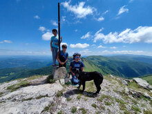 VARVARA, Hund, Mischlingshund in Bulgarien - Bild 17