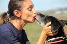 NATHALIE, Hund, Mischlingshund in Italien - Bild 11