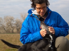 NATHALIE, Hund, Mischlingshund in Italien - Bild 9