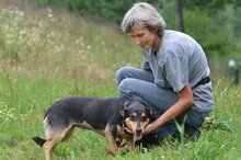 GAJA, Hund, Mischlingshund in Polen - Bild 3