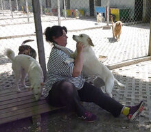 ELARA, Hund, Labrador Retriever-Pointer-Mix in Bulgarien - Bild 10