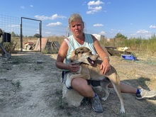 ROBERTA, Hund, Mischlingshund in Rumänien - Bild 17