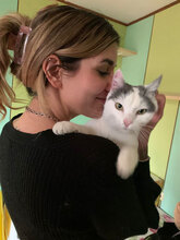 MADDIE, Katze, Hauskatze in Bulgarien - Bild 10