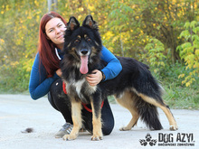 DERICK, Hund, Mischlingshund in Slowakische Republik - Bild 22