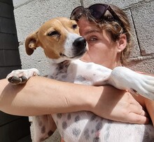 PECAS, Hund, Bodeguero in Spanien