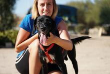 PANTY, Hund, Mischlingshund in Italien - Bild 7