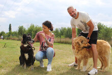 VINCE, Hund, Mischlingshund in Bulgarien - Bild 9