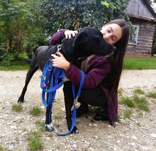 OREGON, Hund, Mischlingshund in Polen - Bild 4