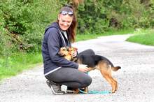 LINNET, Hund, Mischlingshund in Slowakische Republik - Bild 9
