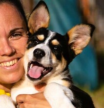 SUSHI, Hund, Border Collie-Mix in Spanien - Bild 1