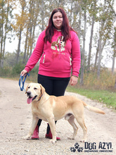 FOREST, Hund, Mischlingshund in Slowakische Republik - Bild 14