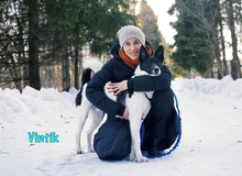 VINTIK, Hund, Mischlingshund in Russische Föderation - Bild 5