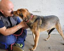 ANTONIETTA, Hund, Mischlingshund in Italien - Bild 11