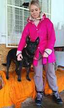 BLIKK, Hund, Mischlingshund in Essen - Bild 1