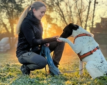 PHÖNIX, Hund, Mischlingshund in Italien - Bild 7