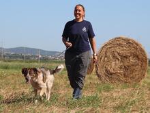GRISU, Hund, Mischlingshund in Italien - Bild 23
