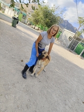 MERY, Hund, Herdenschutzhund-Mix in Spanien - Bild 35