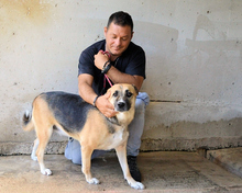 CLEOPATRA, Hund, Mischlingshund in Italien - Bild 3