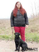 GERO, Hund, Mischlingshund in Slowakische Republik - Bild 13