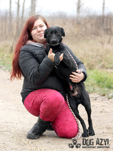 GERO, Hund, Mischlingshund in Slowakische Republik - Bild 9