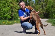 MATES, Hund, Mischlingshund in Slowakische Republik - Bild 3