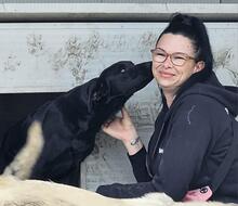 CALIMERO, Hund, Mischlingshund in Italien - Bild 2