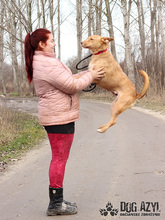 MYSTIC, Hund, Mischlingshund in Slowakische Republik - Bild 12
