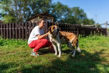 BENIA, Hund, Mischlingshund in Polen - Bild 14